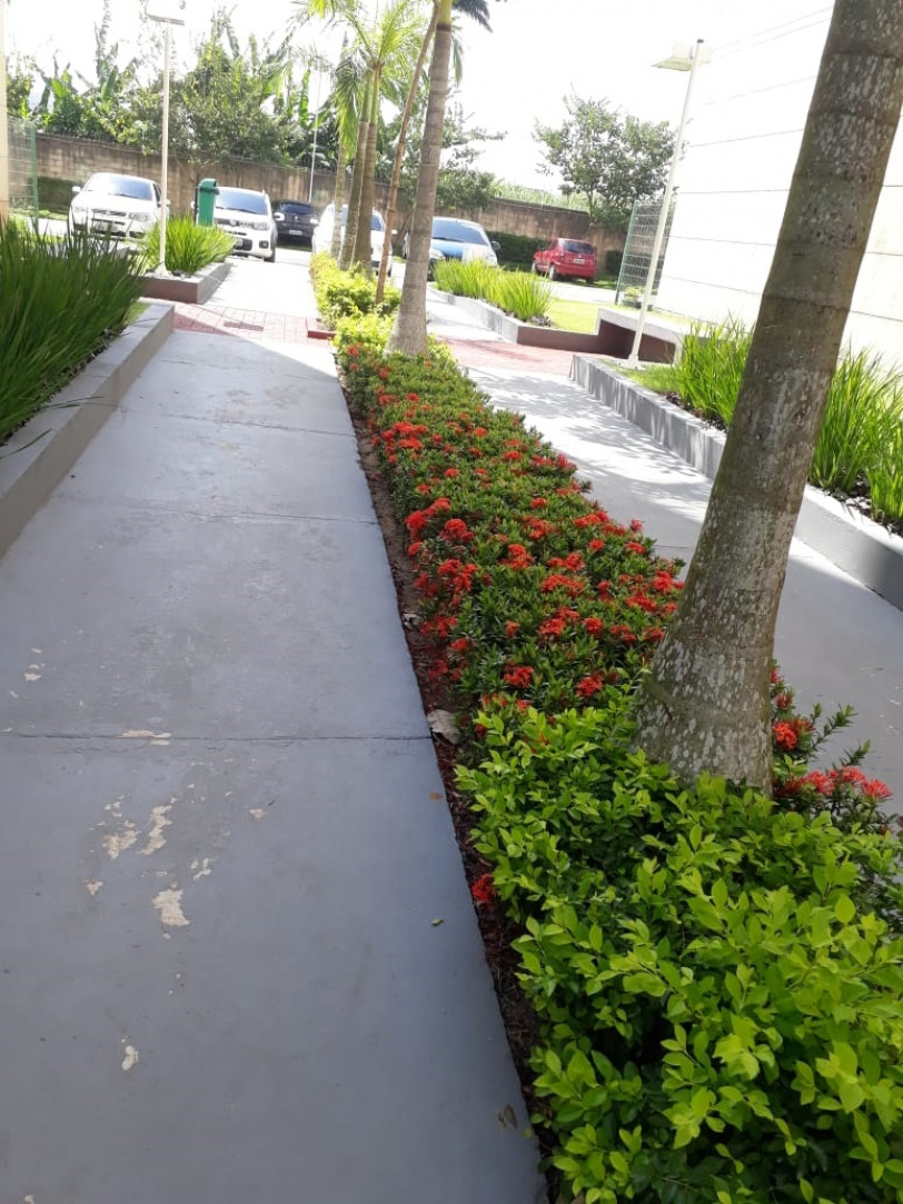 Carpe Diem in Garden - 