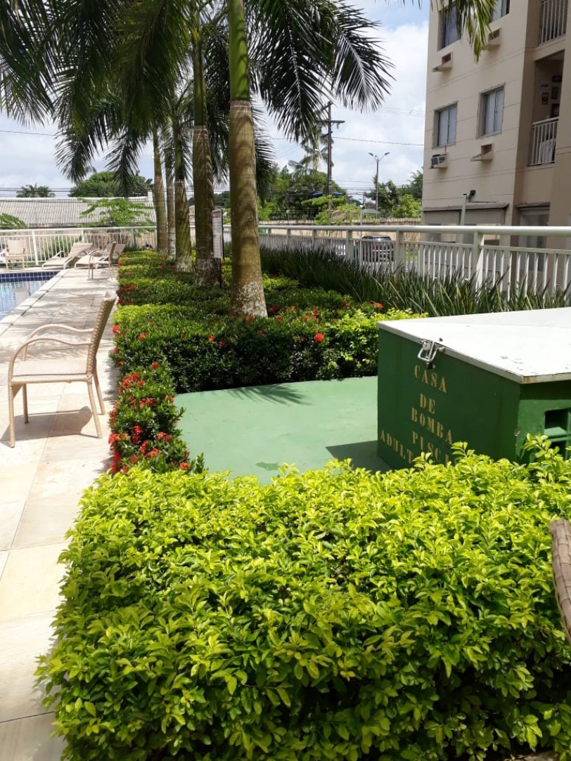 Carpe Diem in Garden - 