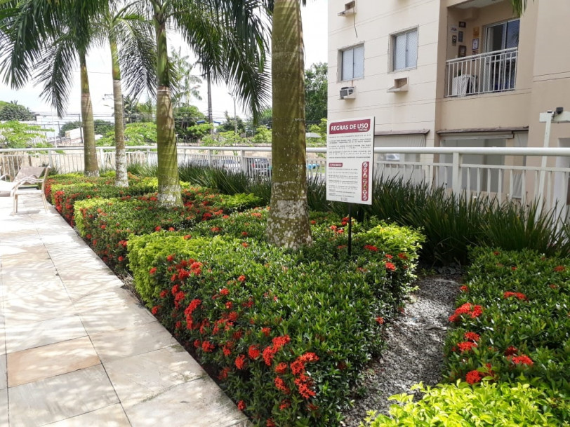 Carpe Diem in Garden - 
